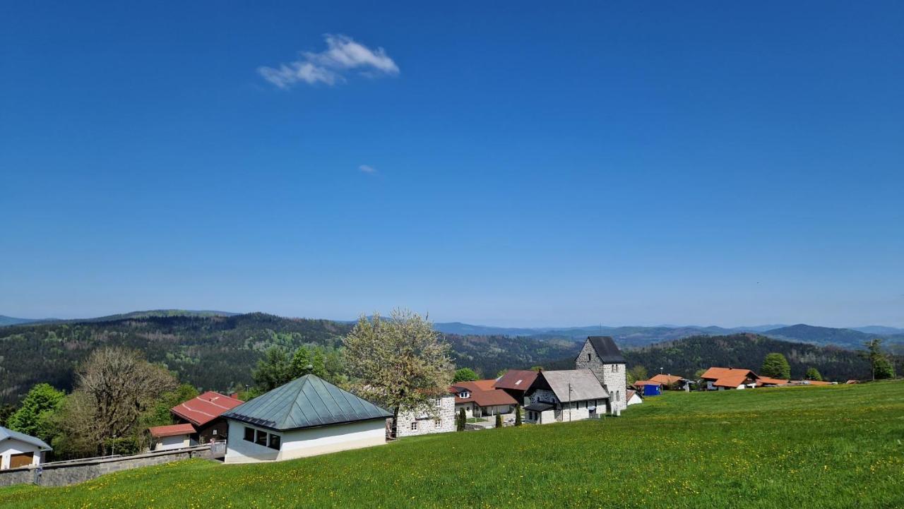 Two Apartaments Almberg - Mitterdorf-Миттерфирмиансройт Экстерьер фото